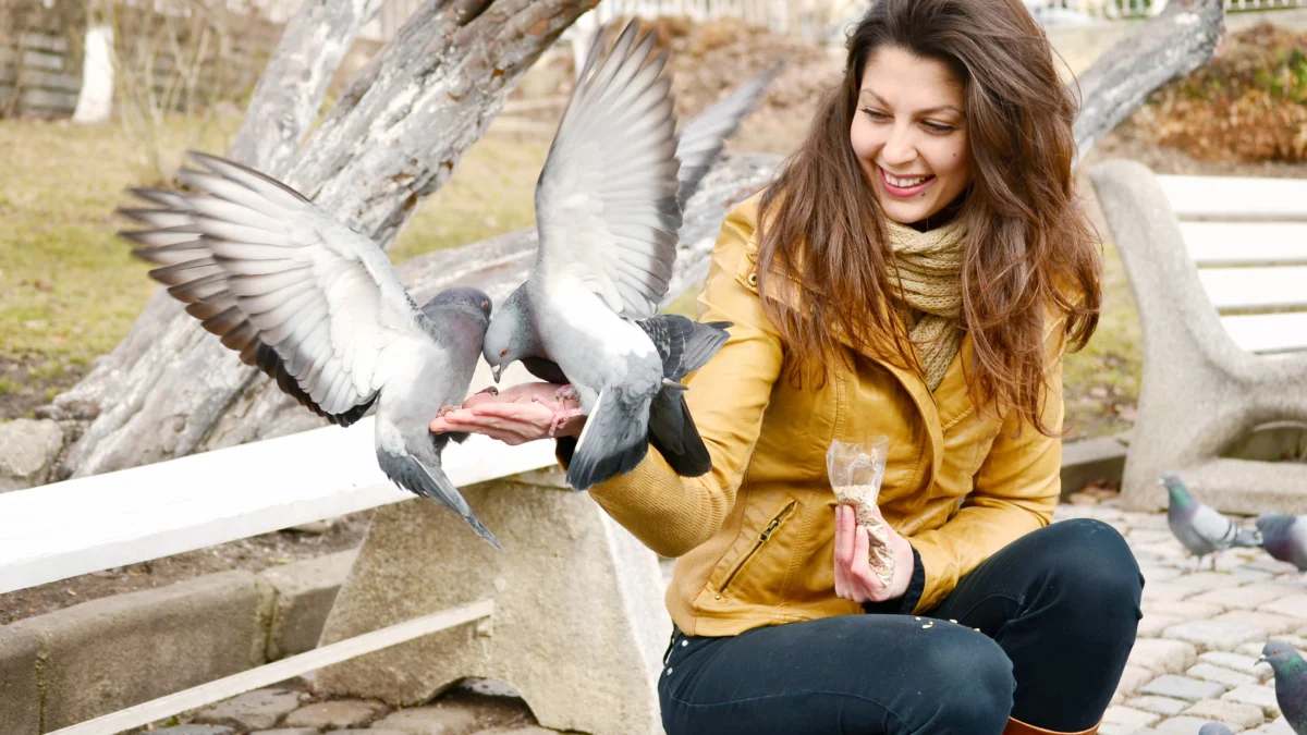 alt=" happy young woman feeding pigeons Best Travel Agency tour packages"